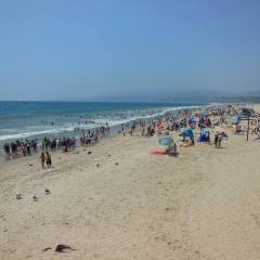 California-2014-029