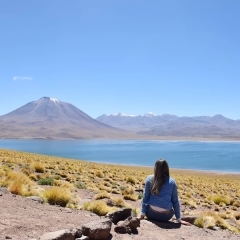 Chile-Bolivia-202011