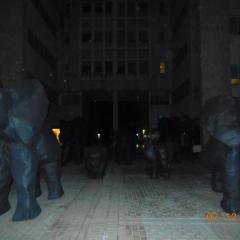 Cuba-2012-016