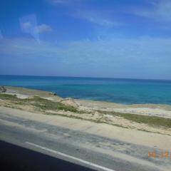 Cuba-2012-100