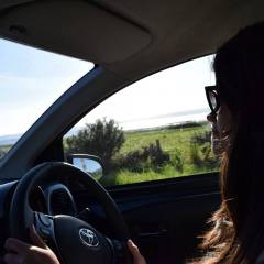 Escocia-2016-256