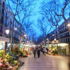 Espana-2015-006