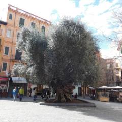 Espana-2015-041