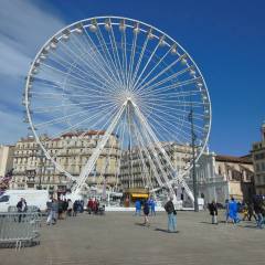 Francia-2015-16