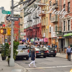NewYork-y-Miami-201903