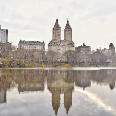 NewYork-y-Miami-201910
