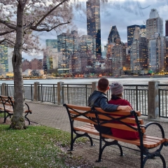 NewYork-y-Miami-201918