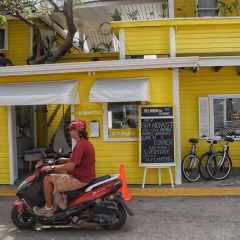 Roatan-2018-05