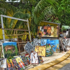 Roatan-2018-06