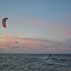 Roatan-2018-12
