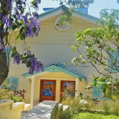 Roatan-2018-18