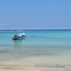 Roatan-2018-21