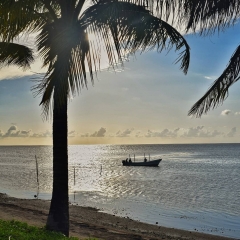 Roatan-2018-24