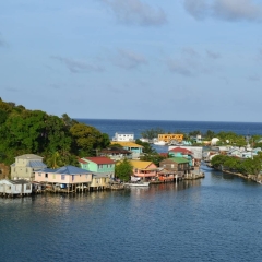 Roatan-2018-29