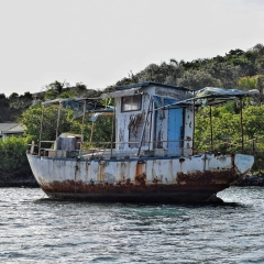 Roatan-2018-30