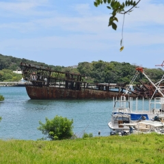 Roatan-2018-35