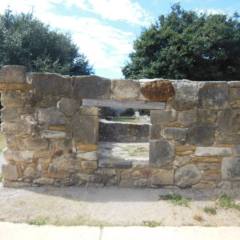 Texas-2015-012