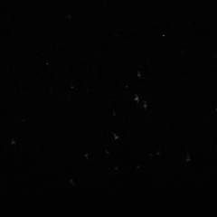 Texas-2015-029