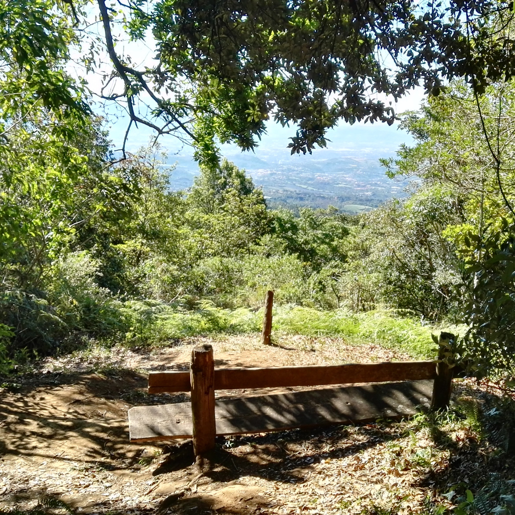Bosque del Niño - Grecia