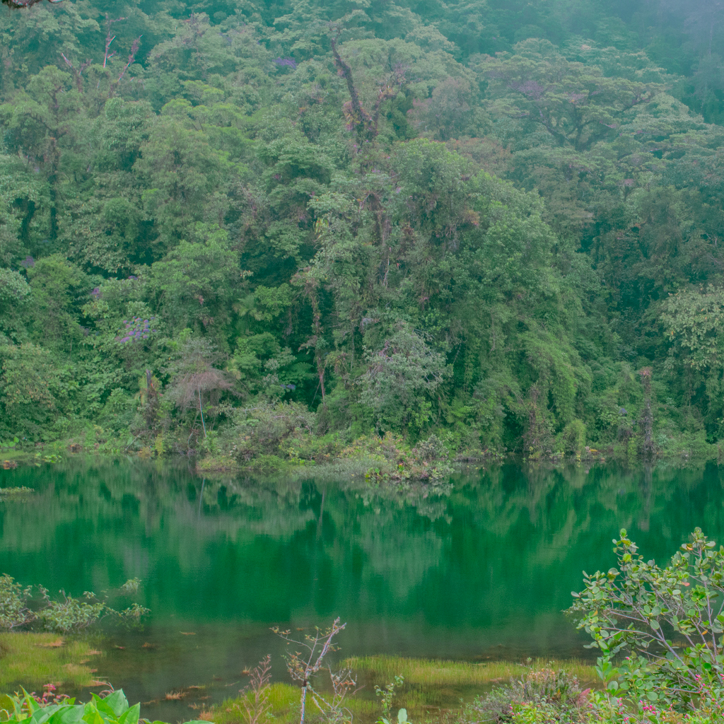 Pozo Verde