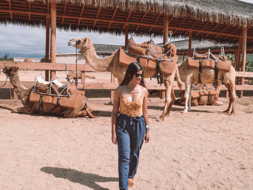 Ruta de 4 días por Los Cabos